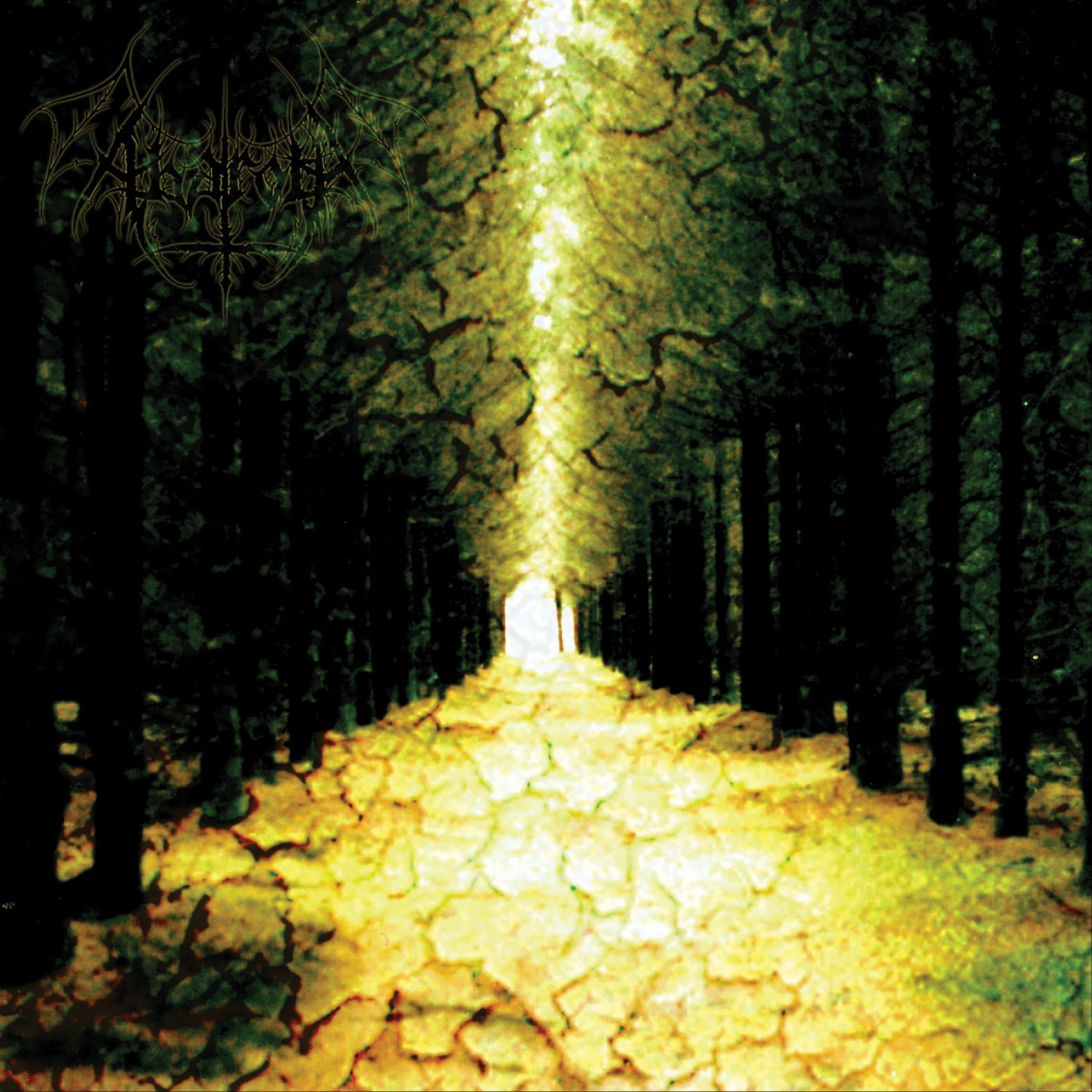 Enter the Kingdom of Night